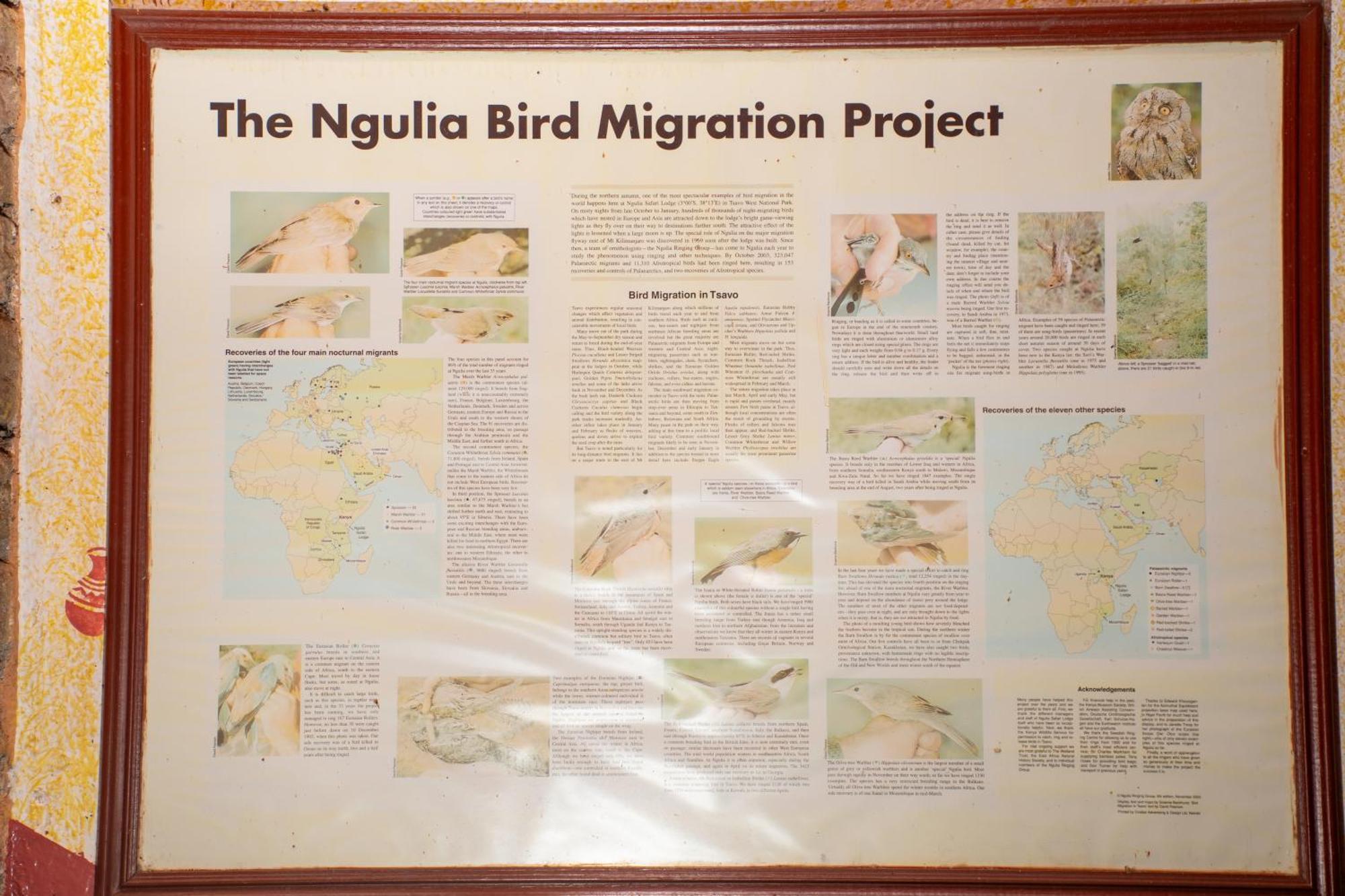 Ngulia Safari Lodge Ithumba Zewnętrze zdjęcie