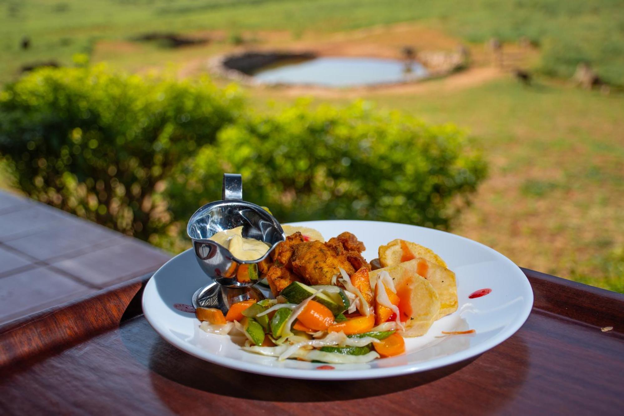 Ngulia Safari Lodge Ithumba Zewnętrze zdjęcie
