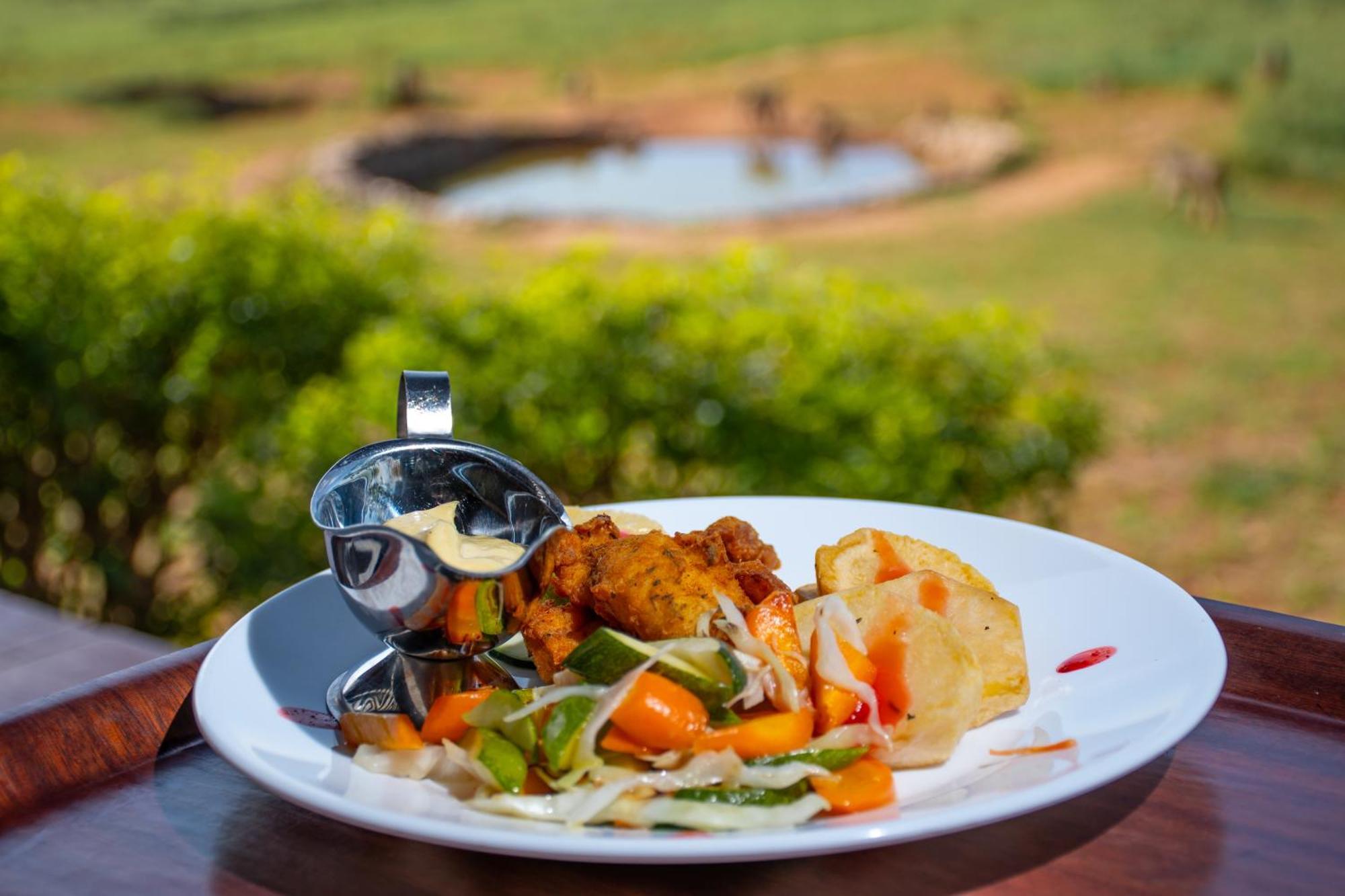 Ngulia Safari Lodge Ithumba Zewnętrze zdjęcie