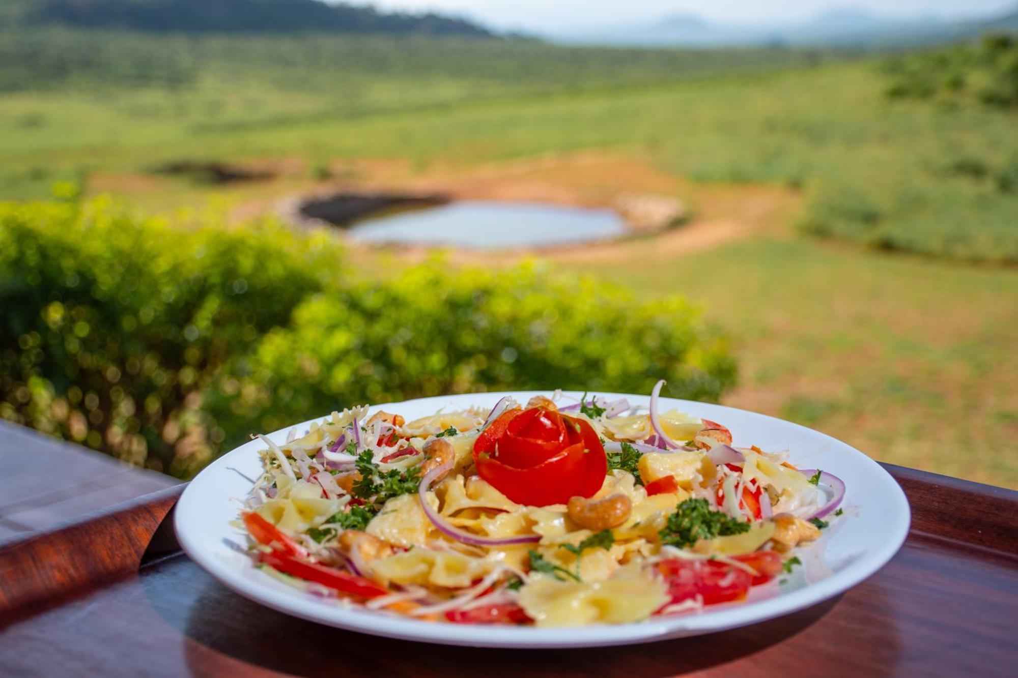 Ngulia Safari Lodge Ithumba Zewnętrze zdjęcie